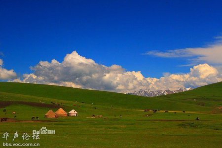 Өвөр монголын Хөлөнбуйр хотын тойм